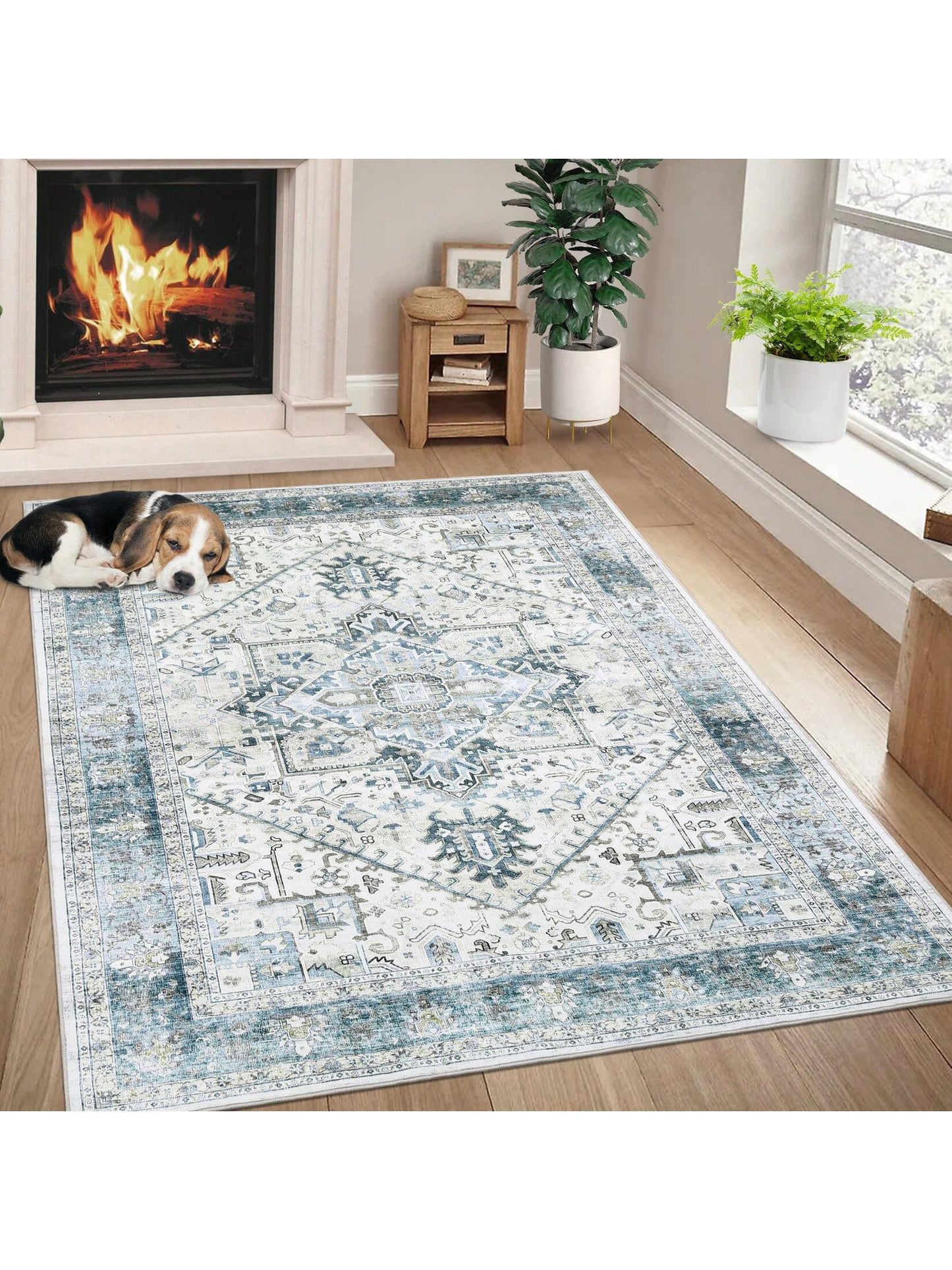 Washable Area Rugs Individually Printed Rugs Ultra Thin Soft Rugs Foldable Indoor Rugs Distressed Printed Rugs Suitable for Living Room Office Bedroom